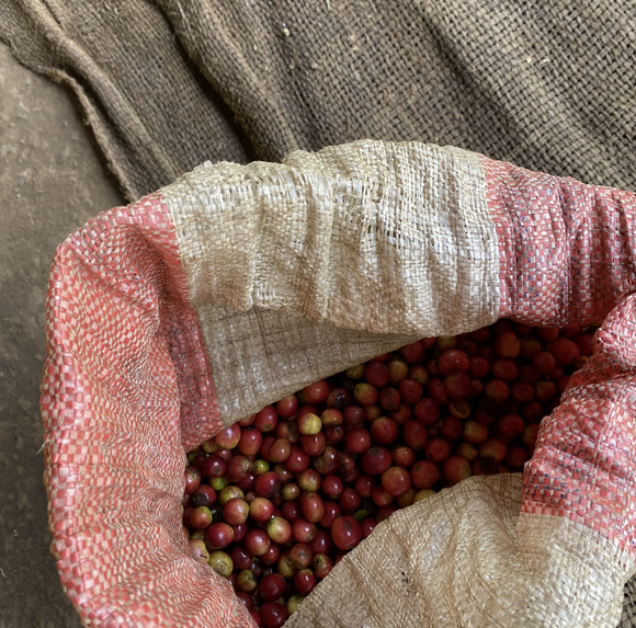 ケニア キリニャガ キイファクトリー ウォッシュト 中煎り 100g