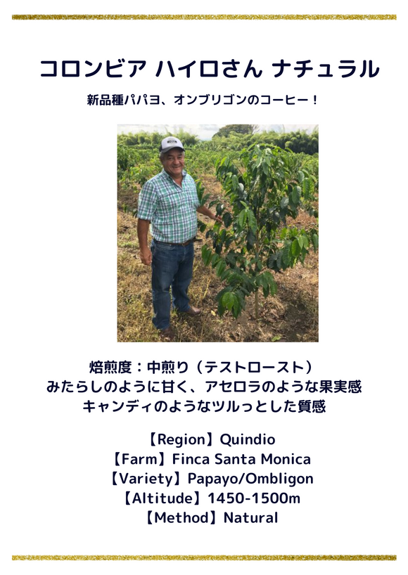 コロンビア ハイロさん ナチュラル テストロースト 中煎り 100g