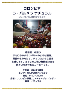 コロンビア ラ・パルメラ ナチュラル 中煎り 100g
