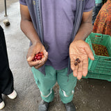 ウガンダ ニャビロンゴws アナエロビックナチュラル 中煎り 100g